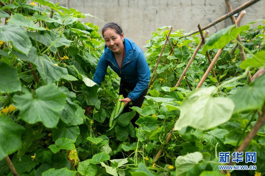 这五年,西藏招商引资到位资金2535亿元