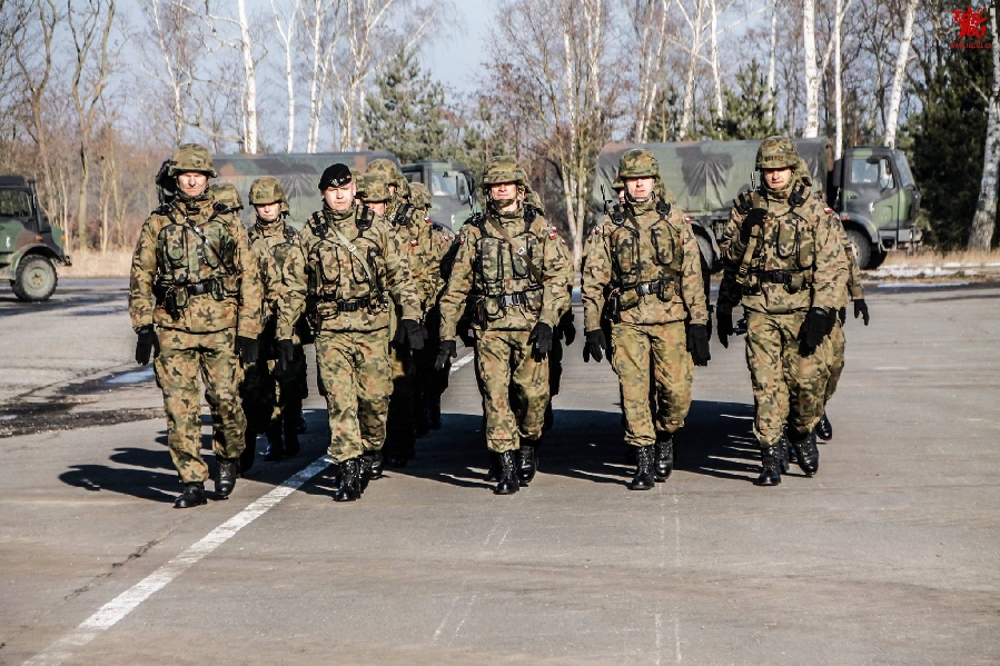 吓唬俄罗斯?波兰坦克兵一水儿西式装备