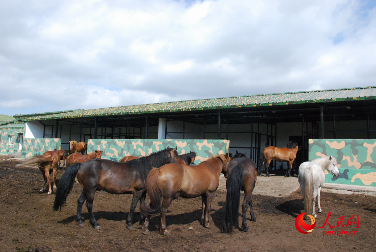 组图:跟着三角山边防战士去中蒙边境巡逻