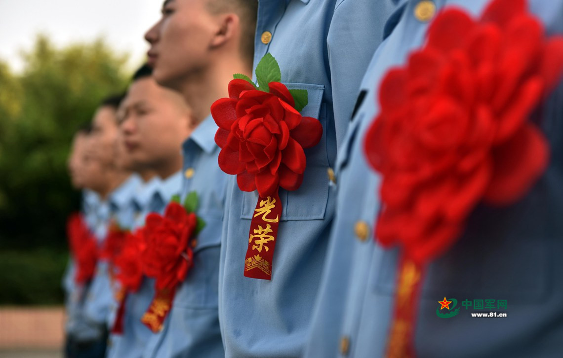 在阳光的照射下,退伍的光荣花是如此的鲜艳.