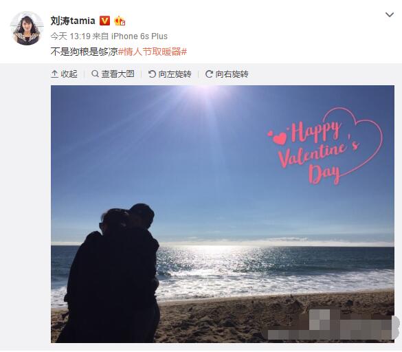 刘涛与老公王珂海边相拥:不是狗粮是够凉