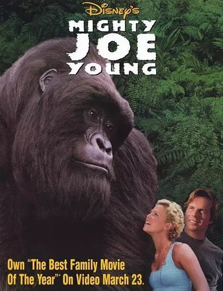 手撕飞机跟美女恋爱这只超级大猩猩的故事太霸道