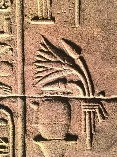 象征上埃及的莲花