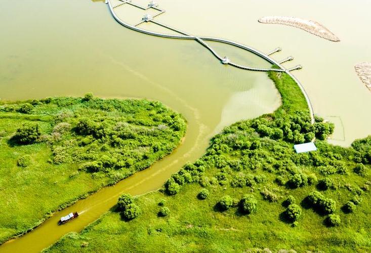 这是6月23日航拍的东营市黄河三角洲国家级自然保护区湿地景观.