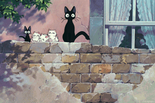 500_333gif 动态图 动图