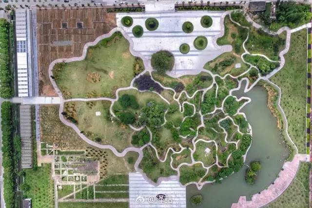 中华园,福建农大最佳约会地点之一,高处能看壮观的中国地图,低