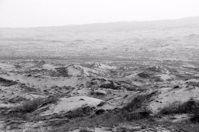 英国小哥到河北塞罕坝避暑,竟意外收获了一个美丽的故事丨好运中国