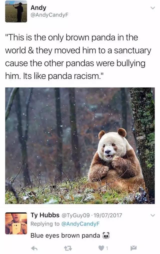 外国人喜欢胖达的神奇理由,居然是