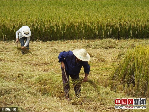 中央一号文件都说了啥 农民能得到哪些实惠?