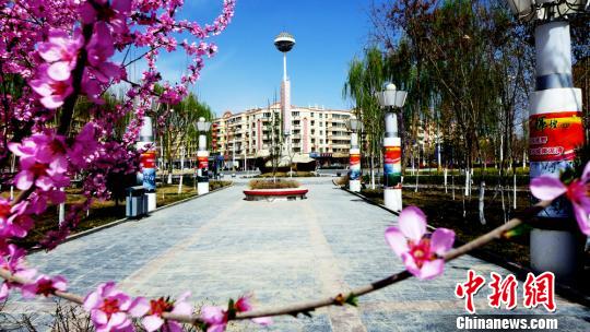 新疆兵团团场由戈壁荒滩变"大漠绿岛"景色似江南