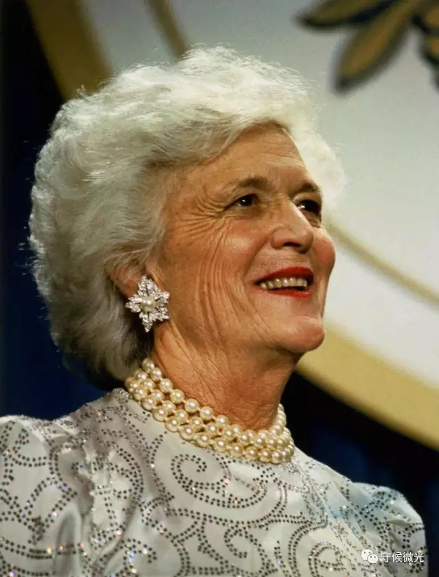 1994年,第42任总统威廉·杰斐逊·克林顿的夫人希拉里·克林顿