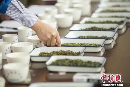 鄱阳湖产区40余茶商携产品"斗茶"争霸茶王