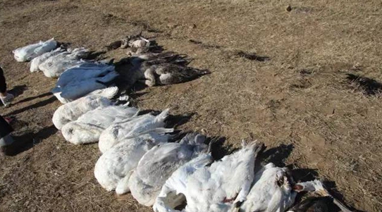 为了351个沉默的"死者"