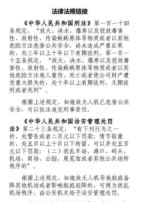 中国公民巴黎放无人机被调查 小心被罚倾家荡产