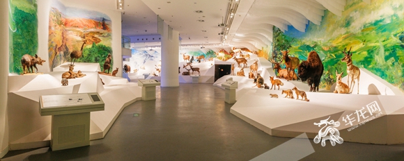 贝林厅.北碚区委宣传部供图 华龙网发