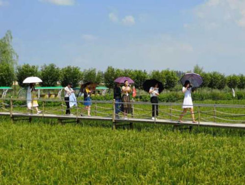 网媒记者走在玻璃栈道上.图片来源于宁夏新闻网