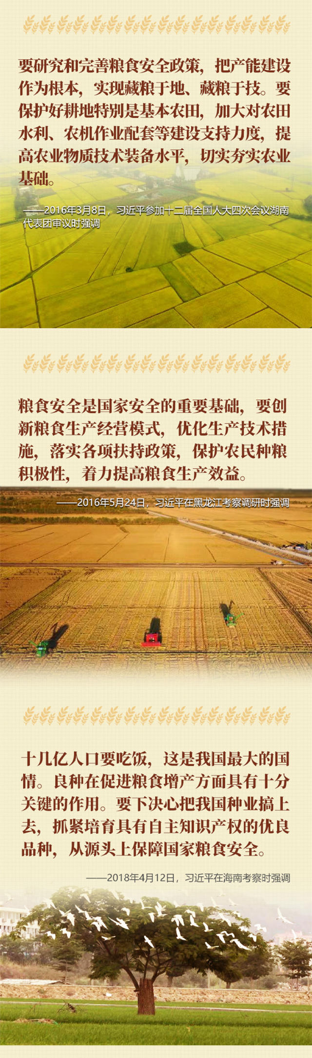 事关粮食安全习近平这样说