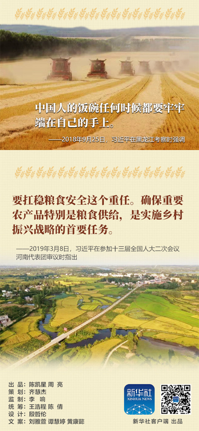 事关粮食安全习近平这样说