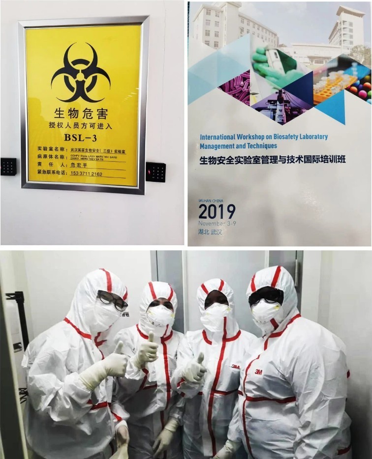 真相丨美国五角大楼承包商炮制武汉病毒泄露"报告" 通篇小儿科级错漏