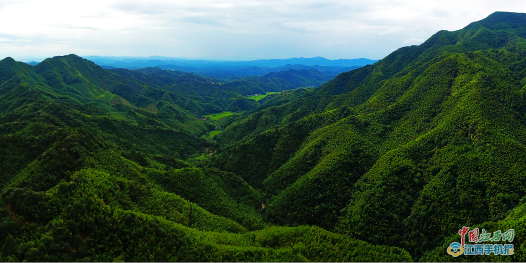 大岗山风光