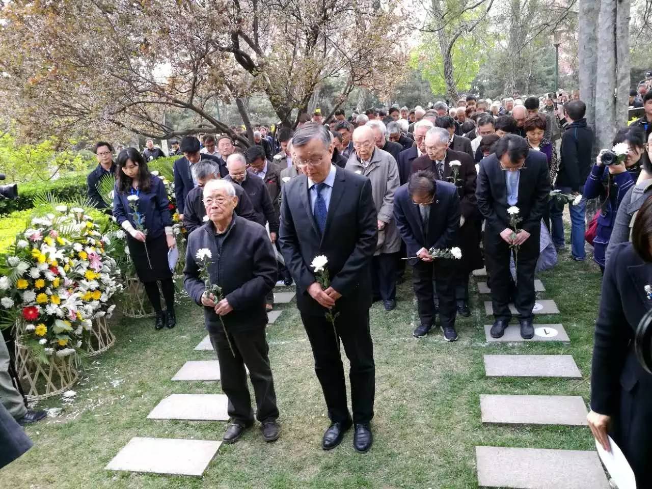 中青在线