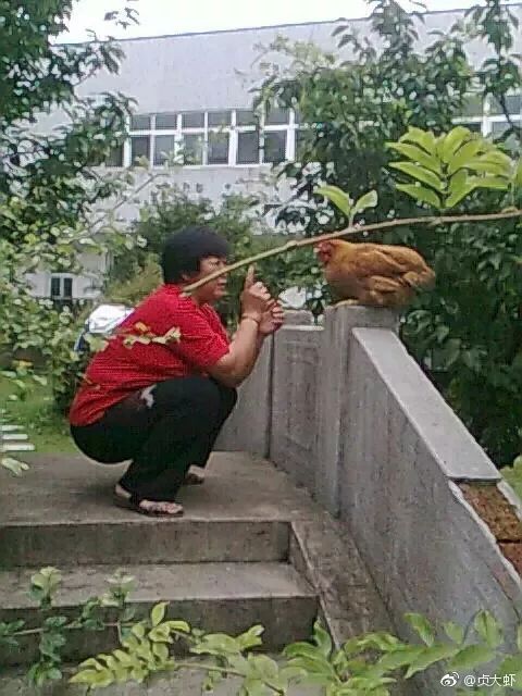 哈哈哈哈哈哈哈笑到肚子抽!