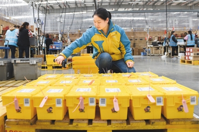 图为工作人员扫描"共享快递盒"信息,确认商品.