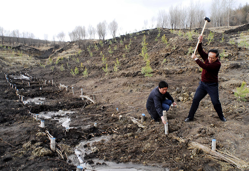 2006年5月1日,在黑龙江省齐齐哈尔市拜泉县,王树清(右)在打桩.