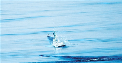 图为神秘美丽的莫克兰海沟海景