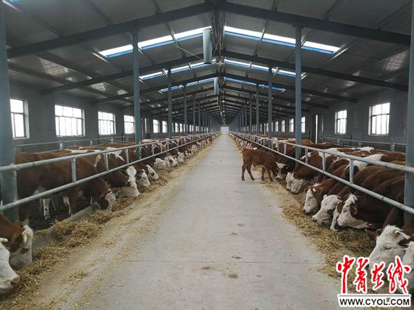 生态养殖：绿色农业的新篇章